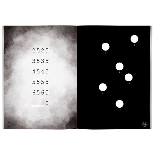 Das Mysterium der Zeitreisen - Interaktives Rätselbuch
